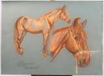 Violette KISLING-PELATI (1918-2012)"Litri / Guardia Montada de Barcelone", cheval.Pastel signé,...