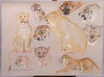 Violette KISLING-PELATI (1918-2012)"Dressage : jeune lionne, hyène tachetée, ours à...