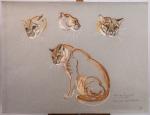 Violette KISLING-PELATI (1918-2012)"Chat de Temmick (Sumatra)", étude. Pastel signé, titré,...