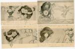 [ILLUSTRATEUR] 14 cartes postales illustrées par Raphaël KIRCHNER. Non signées....