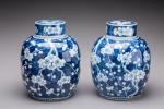 CHINE, XIXe PAIRE de POTS à GINGEMBRE en porcelaine bleu...
