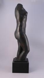 Alfred-Auguste JANNIOT (Paris, 1889 - Neuilly-sur-Seine, 1969)

Torse de Cécile.

Bronze patine...
