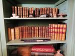 RÉUNION de SOUVENIRS, BIBELOTS et LIVRES dans une étagère.