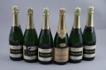 CHAMPAGNE. Nicolas Feuillatte, Champagne Brut. 6 bouteilles. (N, étiquettes déchirées)