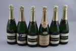 CHAMPAGNE. Nicolas Feuillatte, Champagne Brut. 6 bouteilles. (N, étiquettes déchirées)