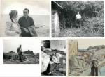 Charles Lapicque et Elmina Auger à Bréhat, c. 1960-1980

Lot d'env....