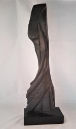 POLIN Laure ( née ne 1962)
Virevolte

Sculpture en ardoise et socle...