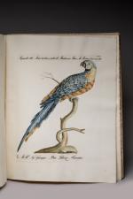 Saverio MANETTI (Florence, 1723-1795)
Storia naturale degli uccelli. Ornithologia methodice digesta...