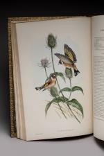 John GOULD (Lyme, 1804 - Londres, 1881)
The birds of Great...