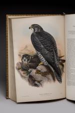 John GOULD (Lyme, 1804 - Londres, 1881)
The birds of Great...