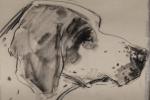 Francis PICABIA (Français, 1879-1953)Portrait de chien.Crayon pastel, signé en bas...
